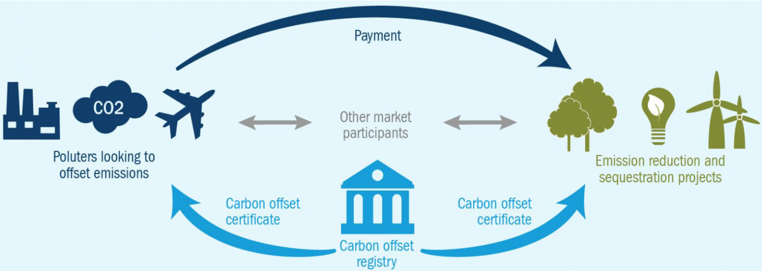 Why Effective Carbon Pricing Can Be Pivotal In Accelerating The Net ...