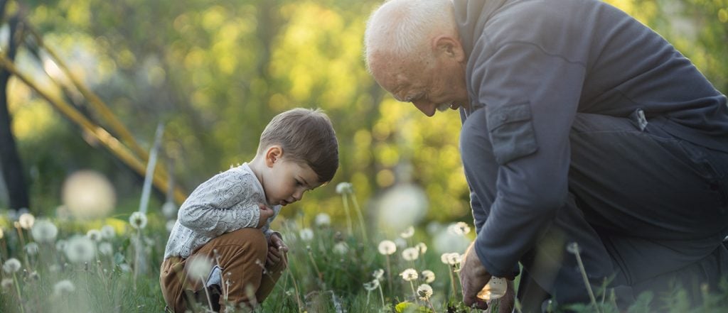 Grandfather with grandson are looking at the grass